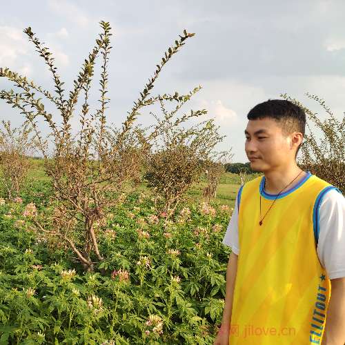 37岁岁广东单身帅哥 - 徐州吉缘网